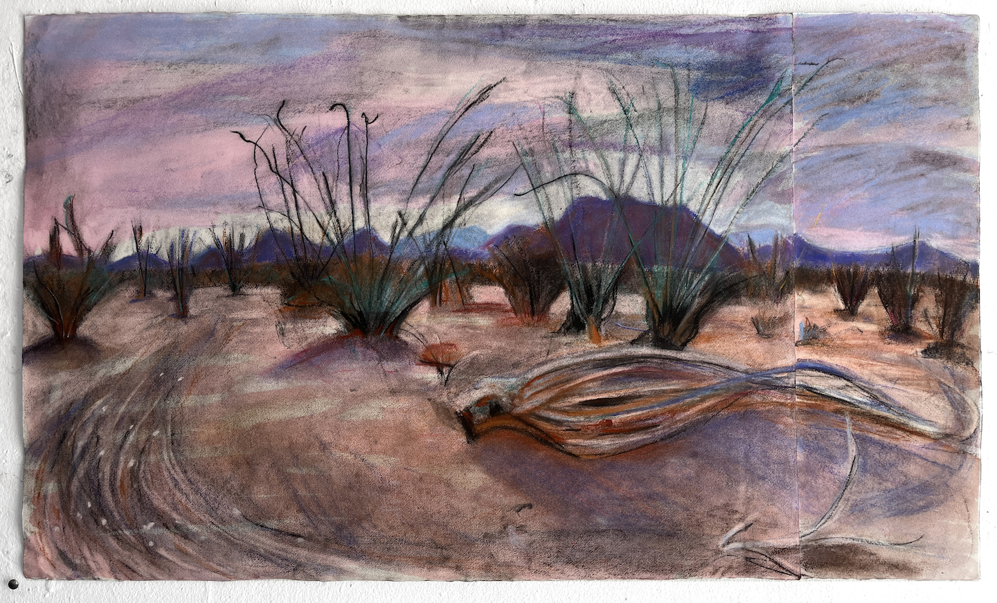 Dead Ocotillo, 22x37_, soft pastel, ink and charcoal on paper, 2025, AVAILABLE